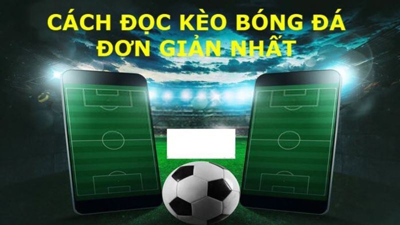 Điểm danh các cách đọc kèo bóng đá